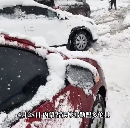 内蒙古突降大雪 送娃半路接停课通知 到底怎么回事-第1张图片